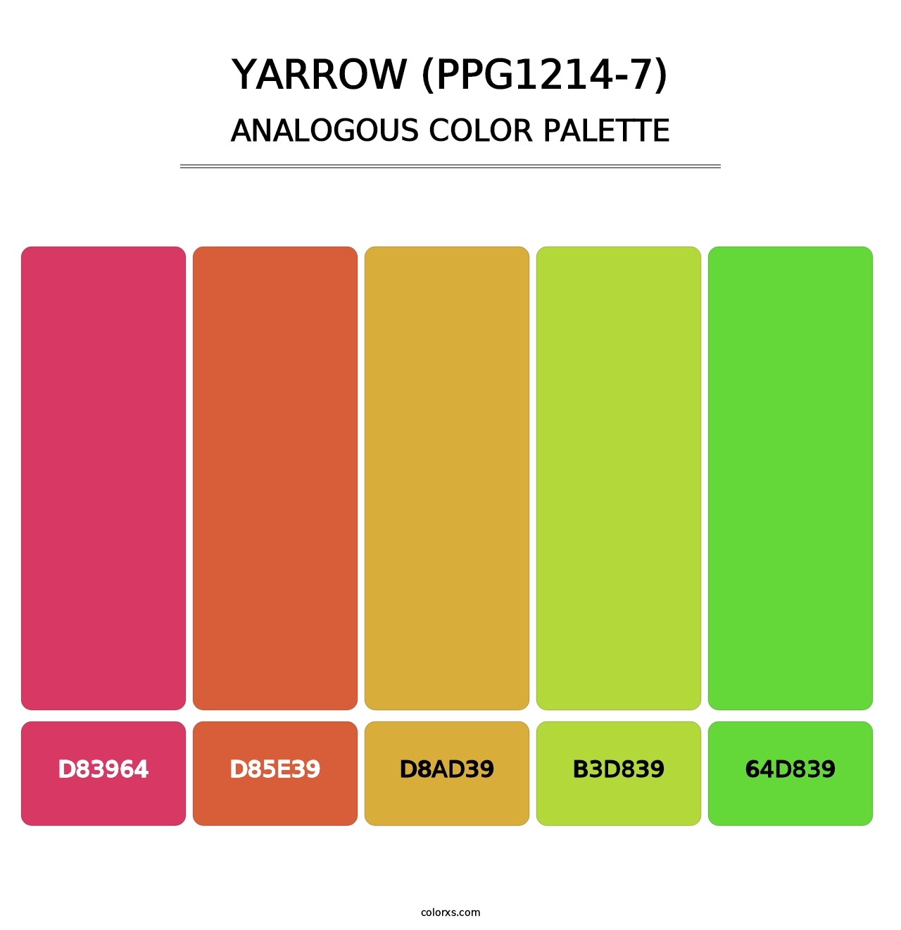 Yarrow (PPG1214-7) - Analogous Color Palette