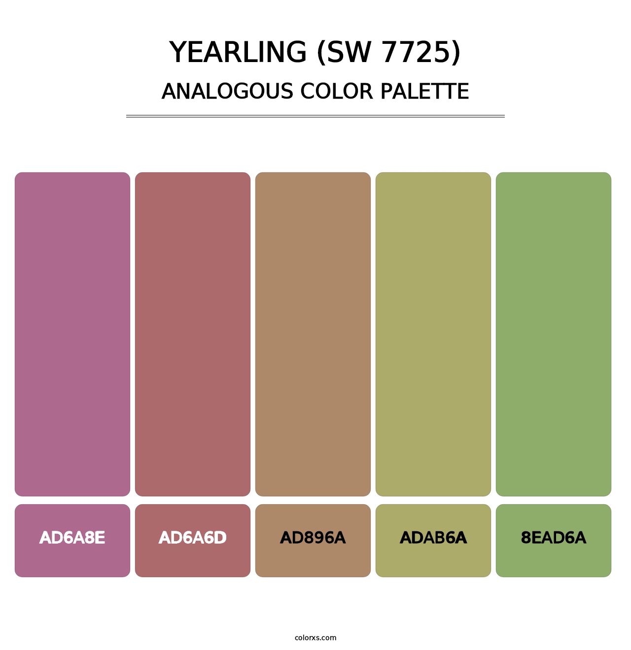 Yearling (SW 7725) - Analogous Color Palette