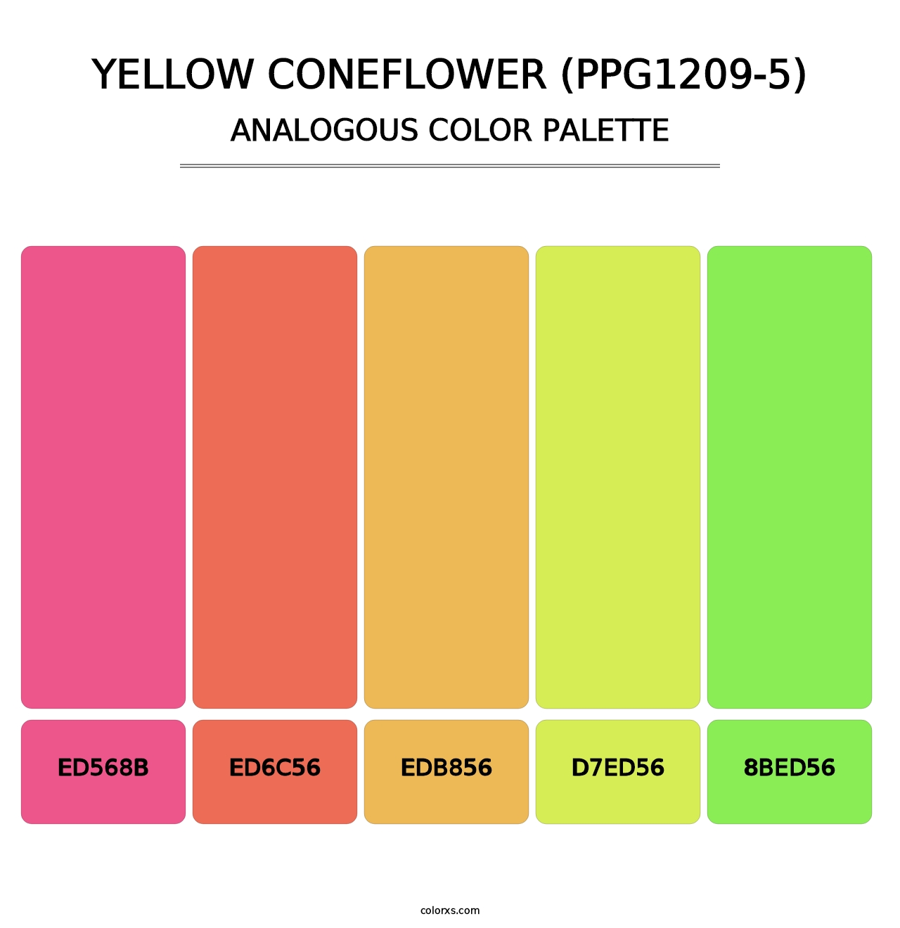 Yellow Coneflower (PPG1209-5) - Analogous Color Palette
