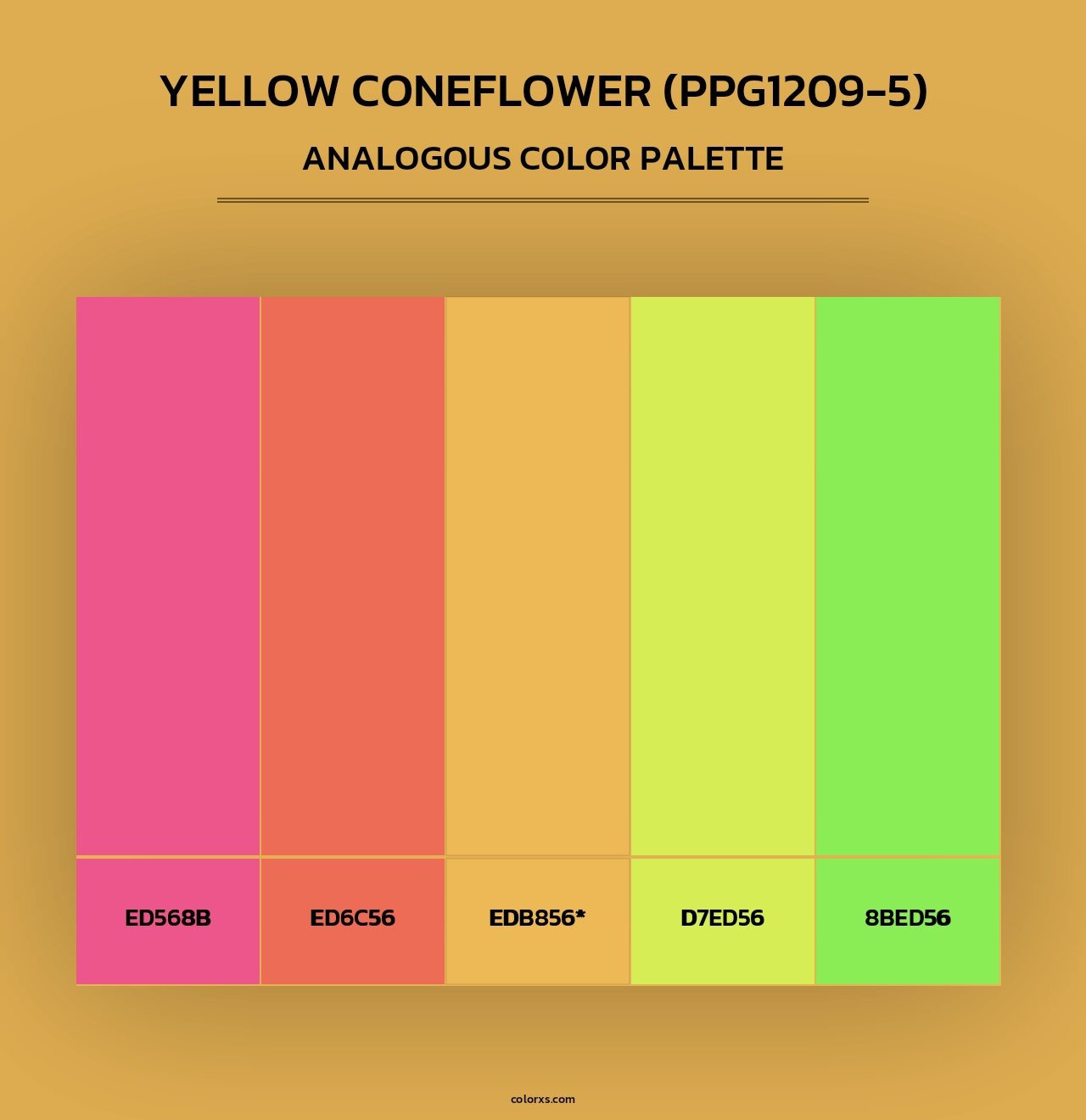 Yellow Coneflower (PPG1209-5) - Analogous Color Palette