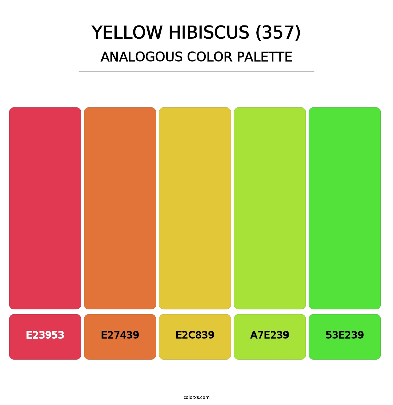 Yellow Hibiscus (357) - Analogous Color Palette