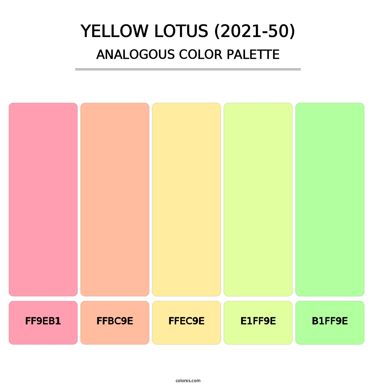 Yellow Lotus (2021-50) - Analogous Color Palette