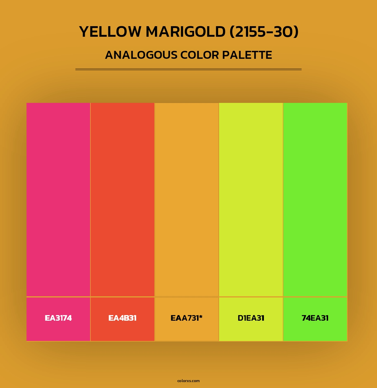 Yellow Marigold (2155-30) - Analogous Color Palette