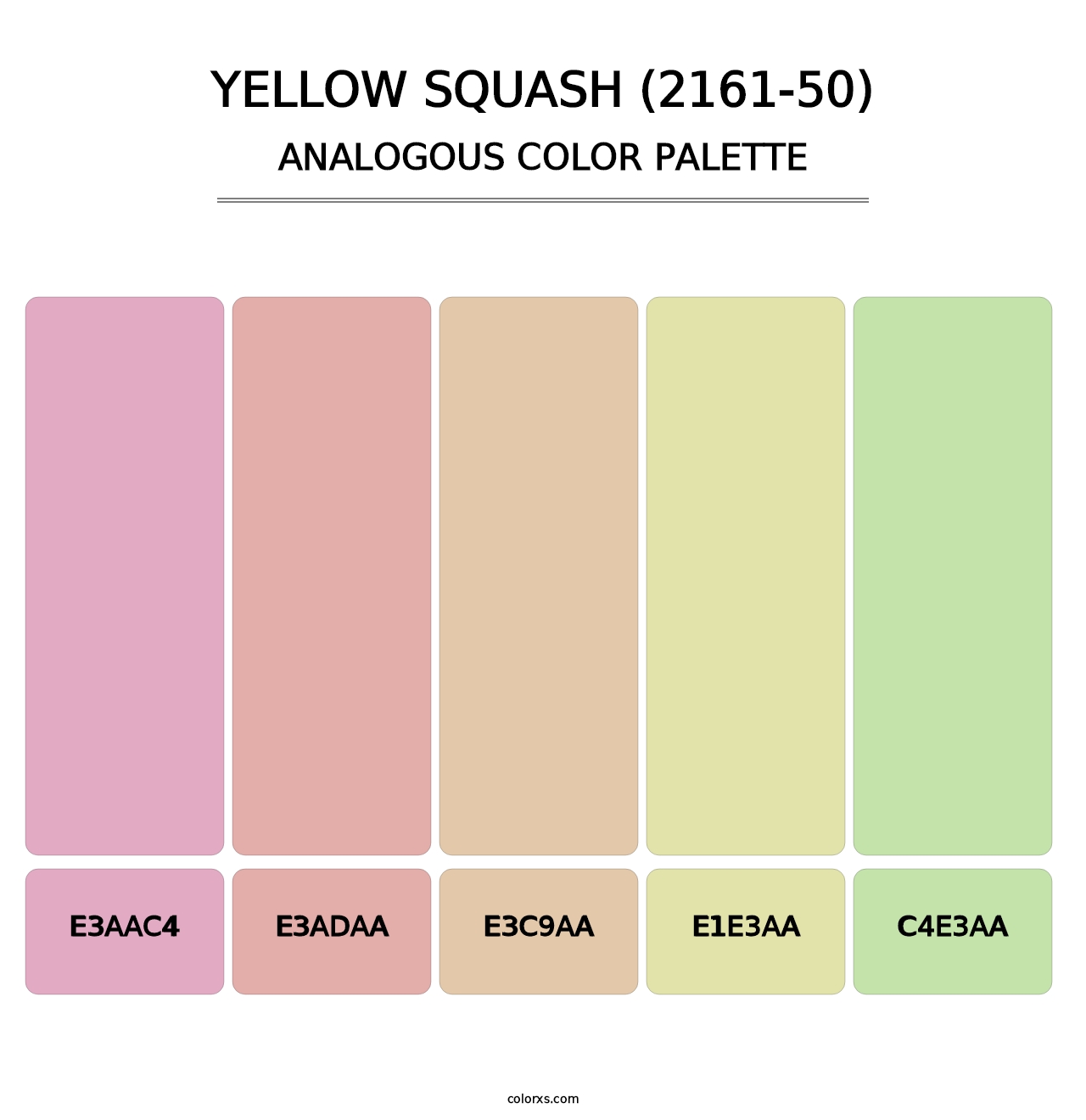 Yellow Squash (2161-50) - Analogous Color Palette