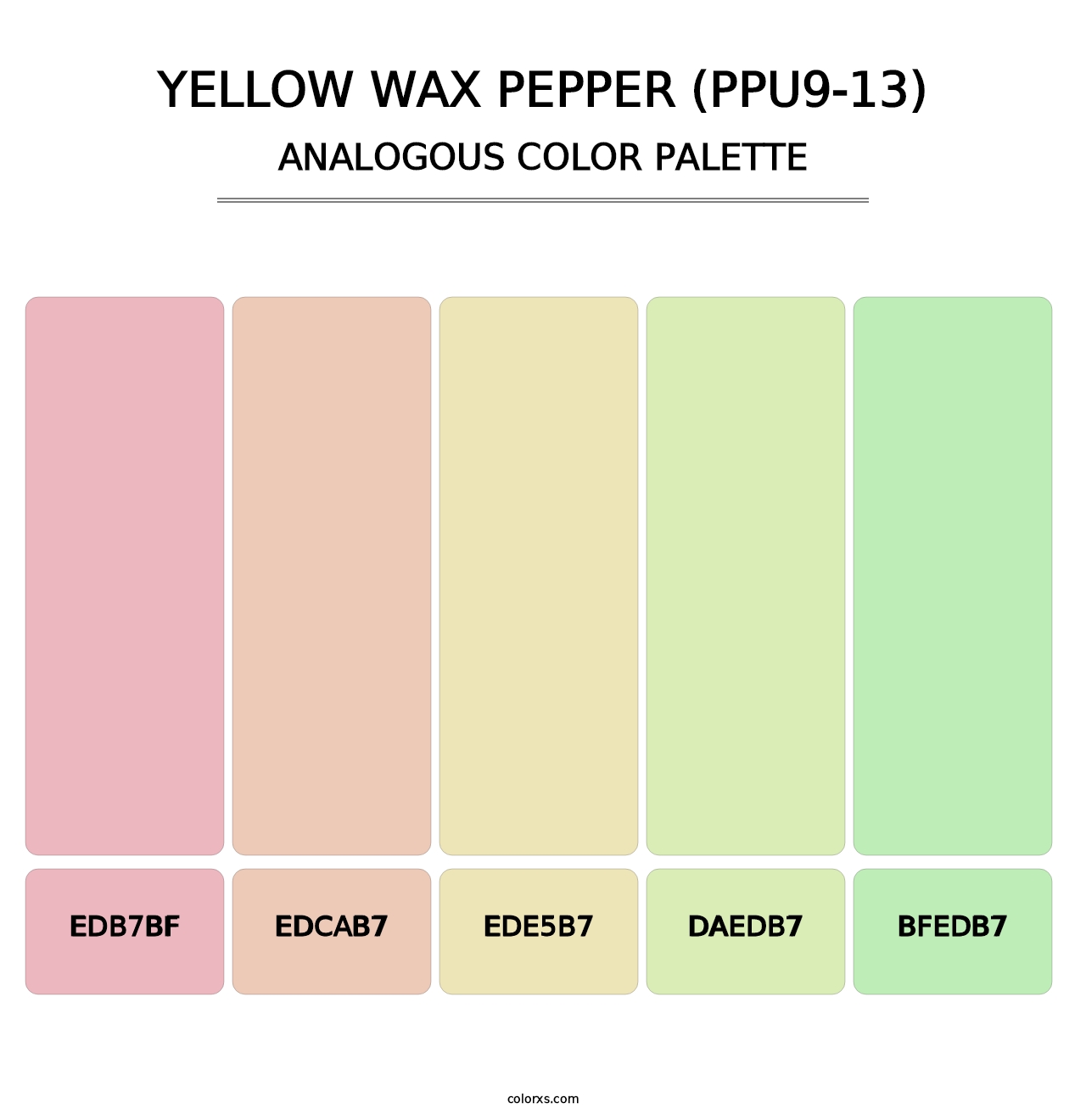 Yellow Wax Pepper (PPU9-13) - Analogous Color Palette