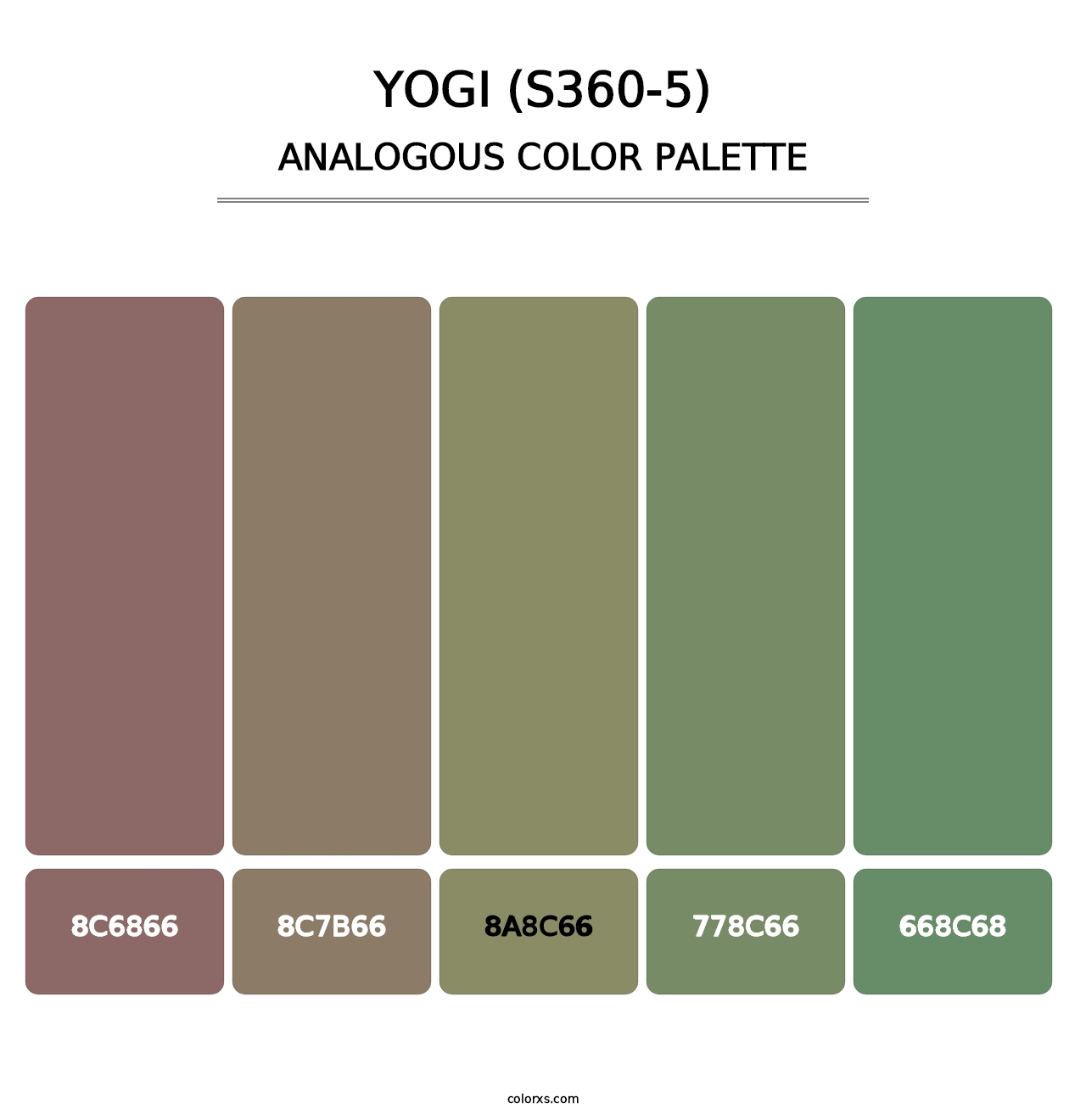Yogi (S360-5) - Analogous Color Palette