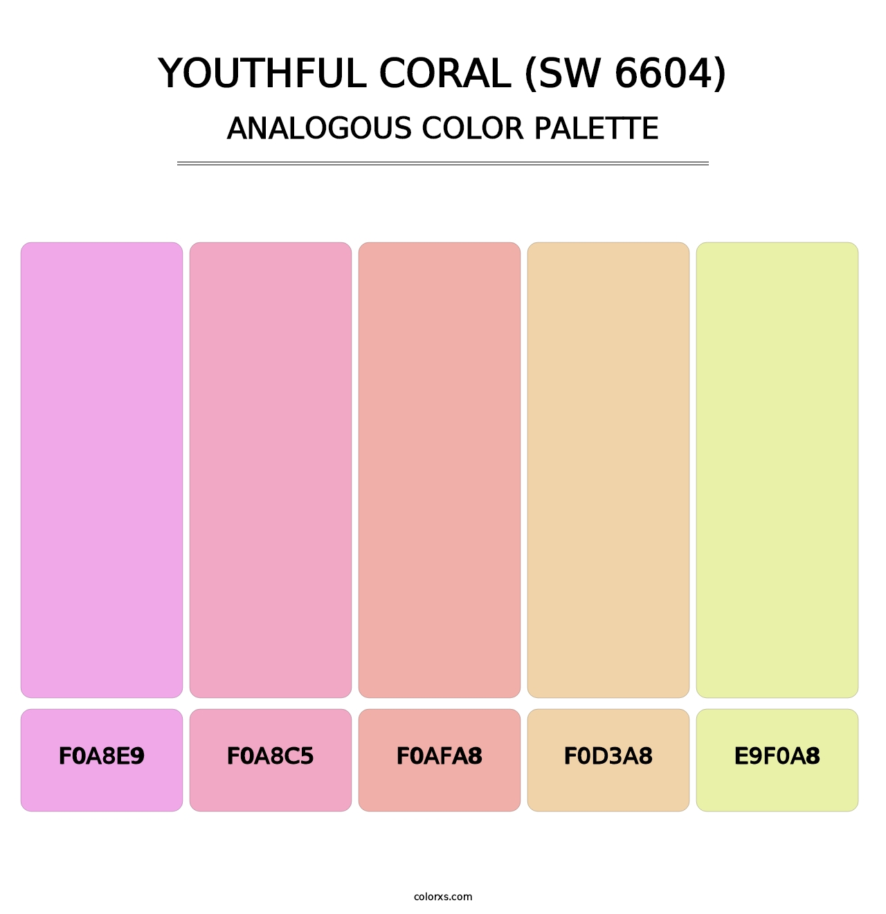 Youthful Coral (SW 6604) - Analogous Color Palette