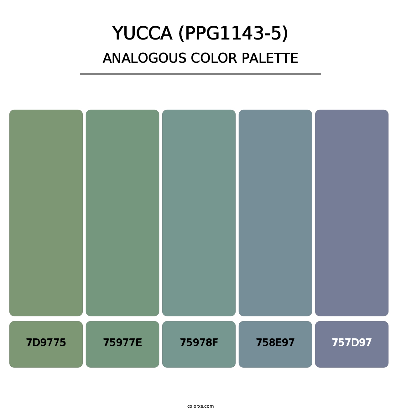 Yucca (PPG1143-5) - Analogous Color Palette