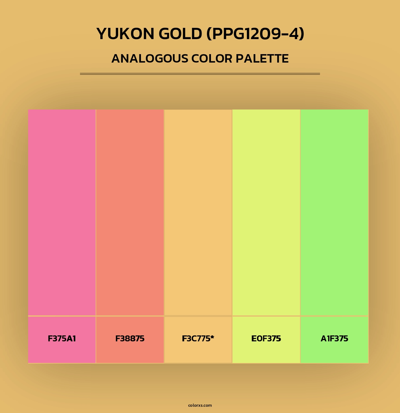 Yukon Gold (PPG1209-4) - Analogous Color Palette