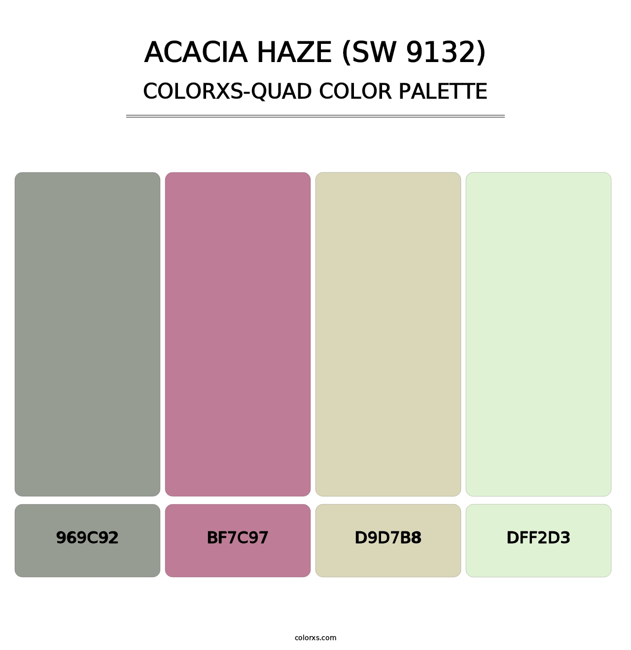 Acacia Haze (SW 9132) - Colorxs Quad Palette