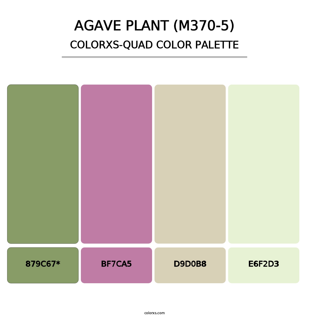 Agave Plant (M370-5) - Colorxs Quad Palette