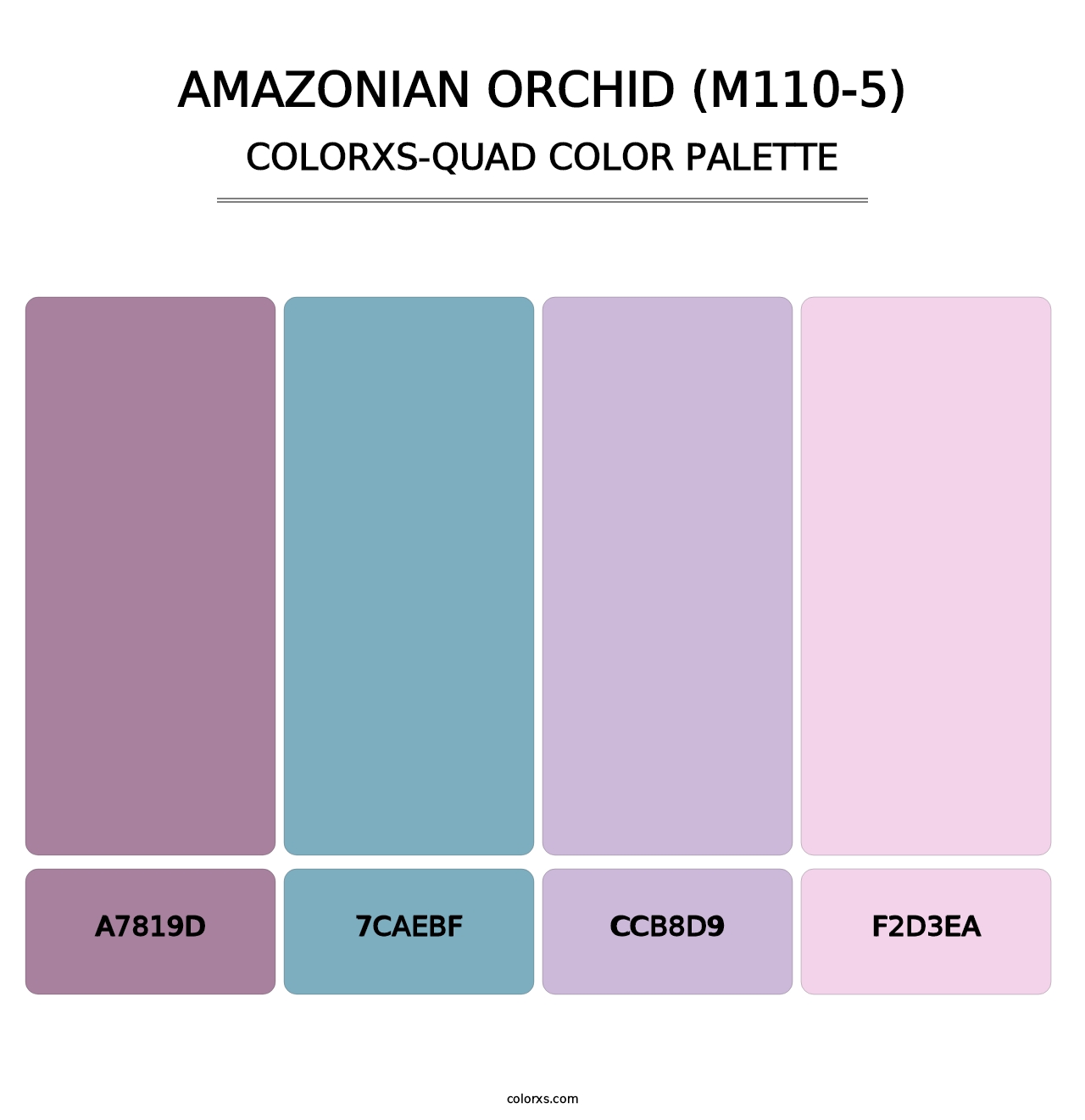Amazonian Orchid (M110-5) - Colorxs Quad Palette