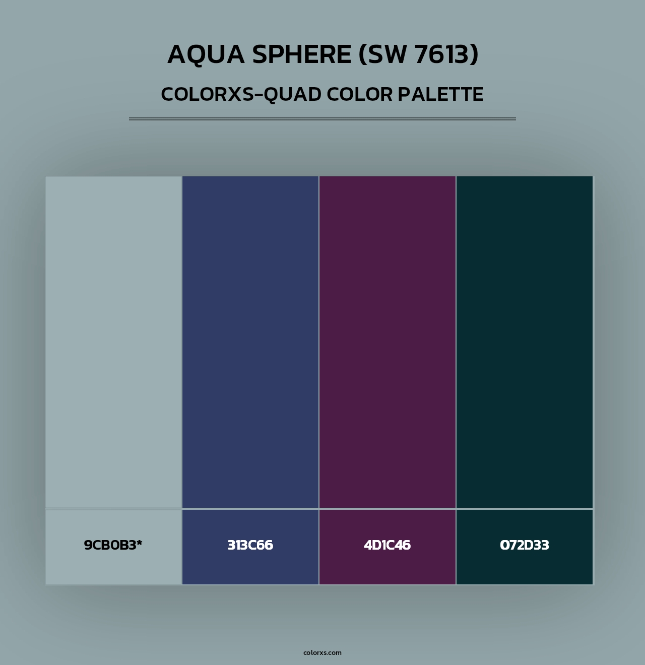 Aqua Sphere (SW 7613) - Colorxs Quad Palette