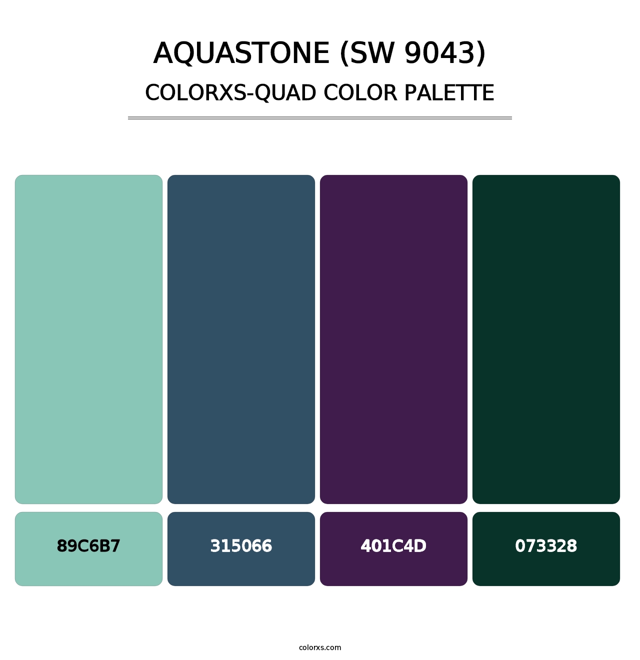Aquastone (SW 9043) - Colorxs Quad Palette