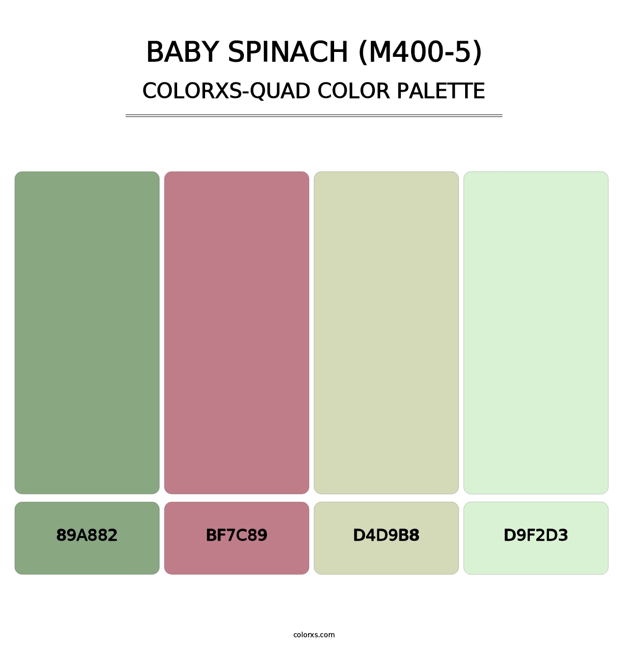 Baby Spinach (M400-5) - Colorxs Quad Palette