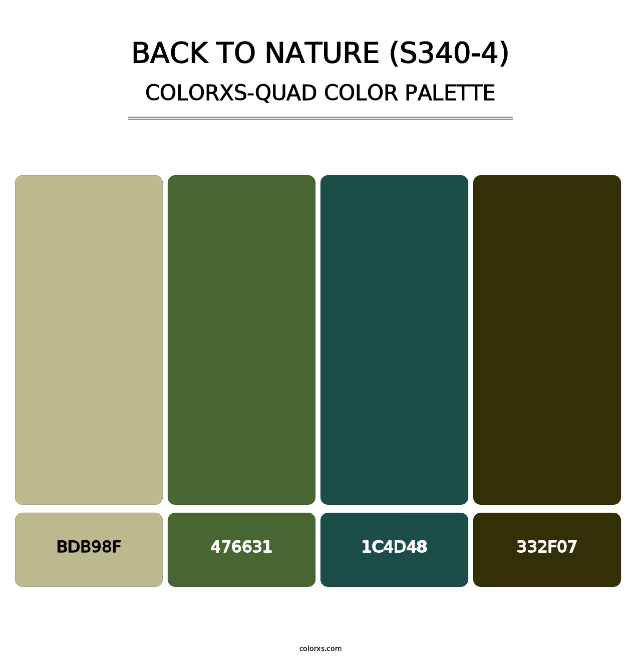Back To Nature (S340-4) - Colorxs Quad Palette