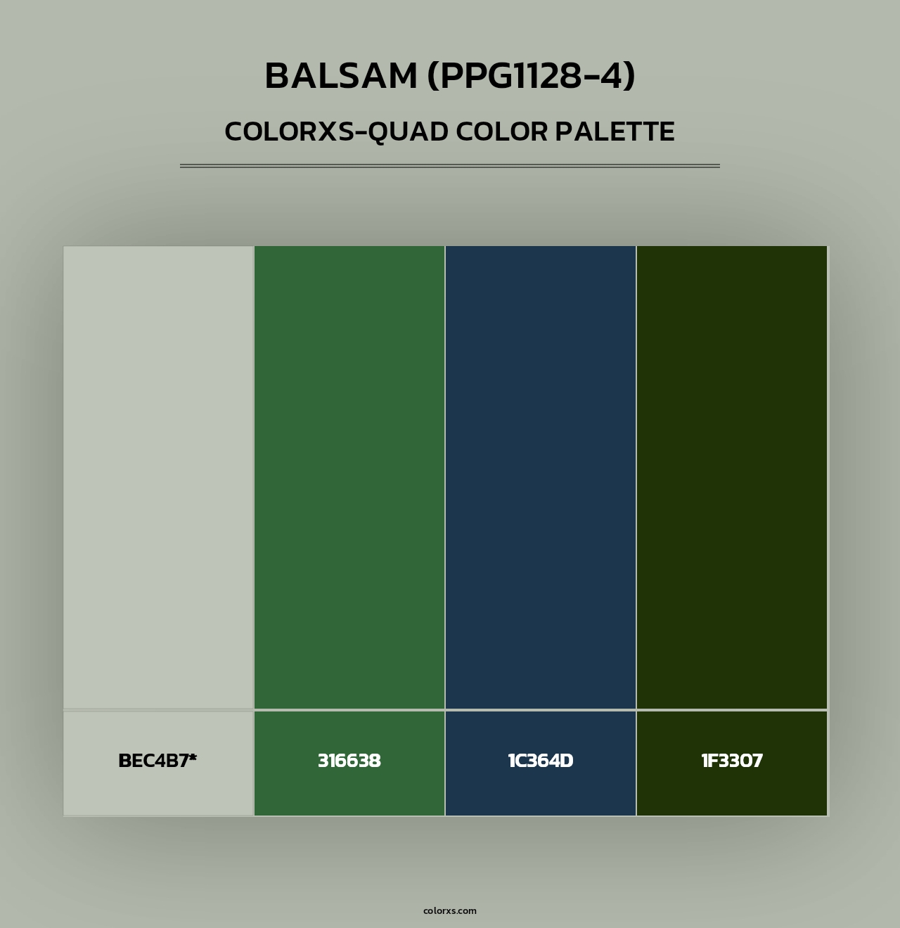 Balsam (PPG1128-4) - Colorxs Quad Palette
