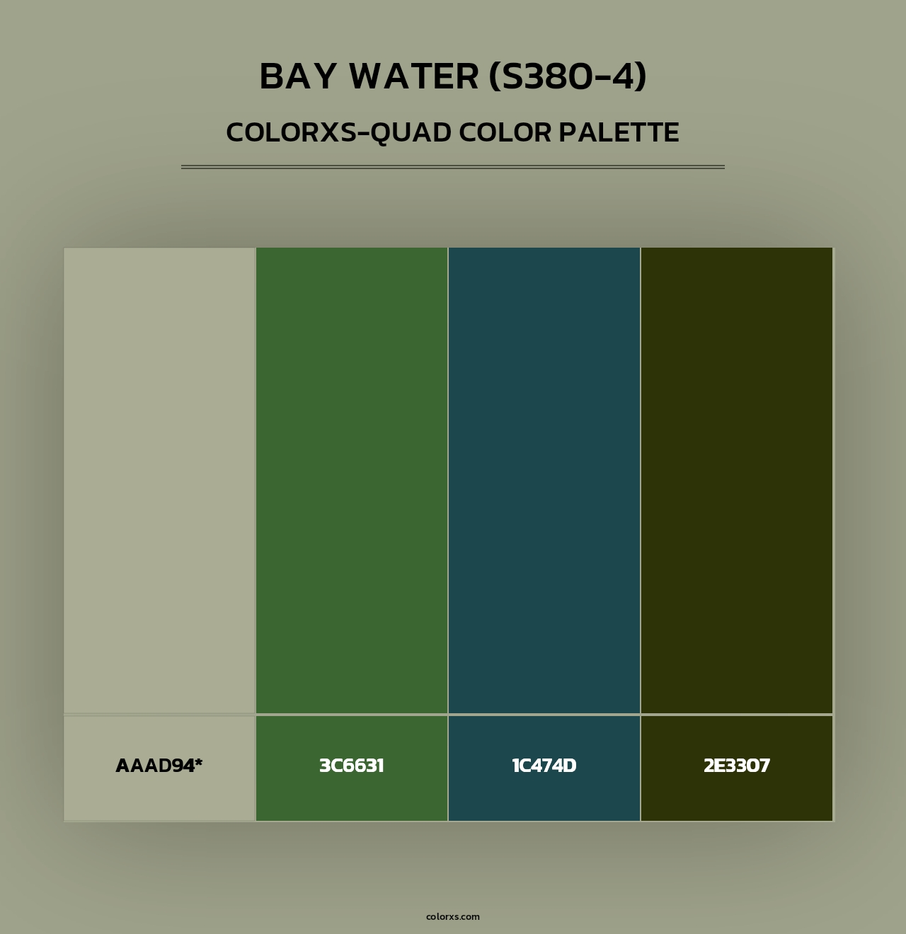 Bay Water (S380-4) - Colorxs Quad Palette