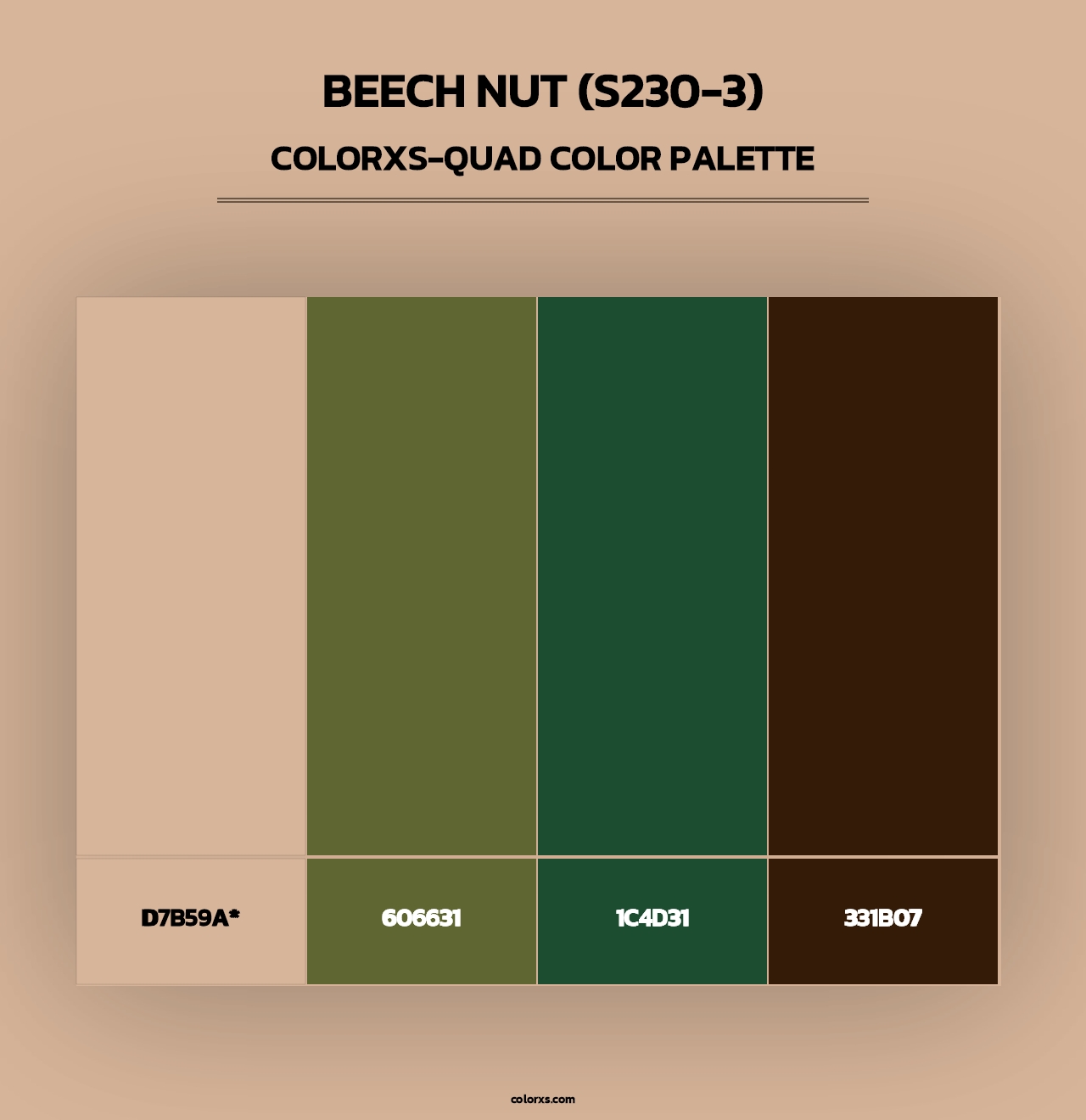 Beech Nut (S230-3) - Colorxs Quad Palette