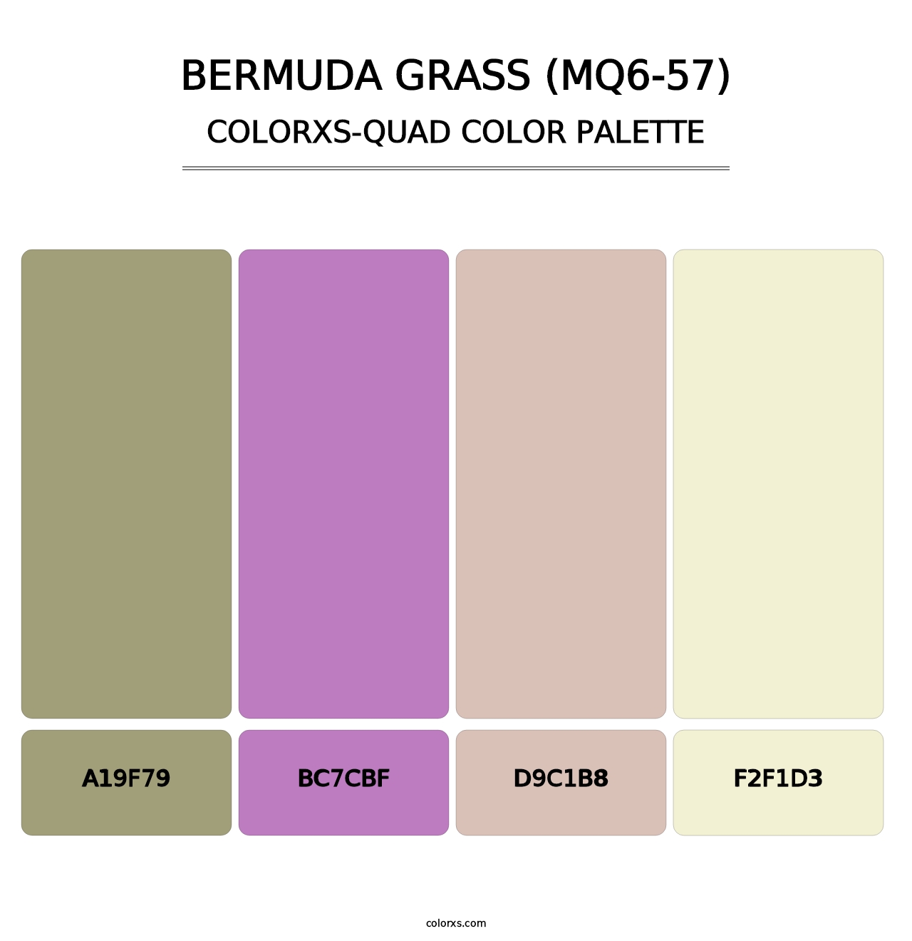 Bermuda Grass (MQ6-57) - Colorxs Quad Palette