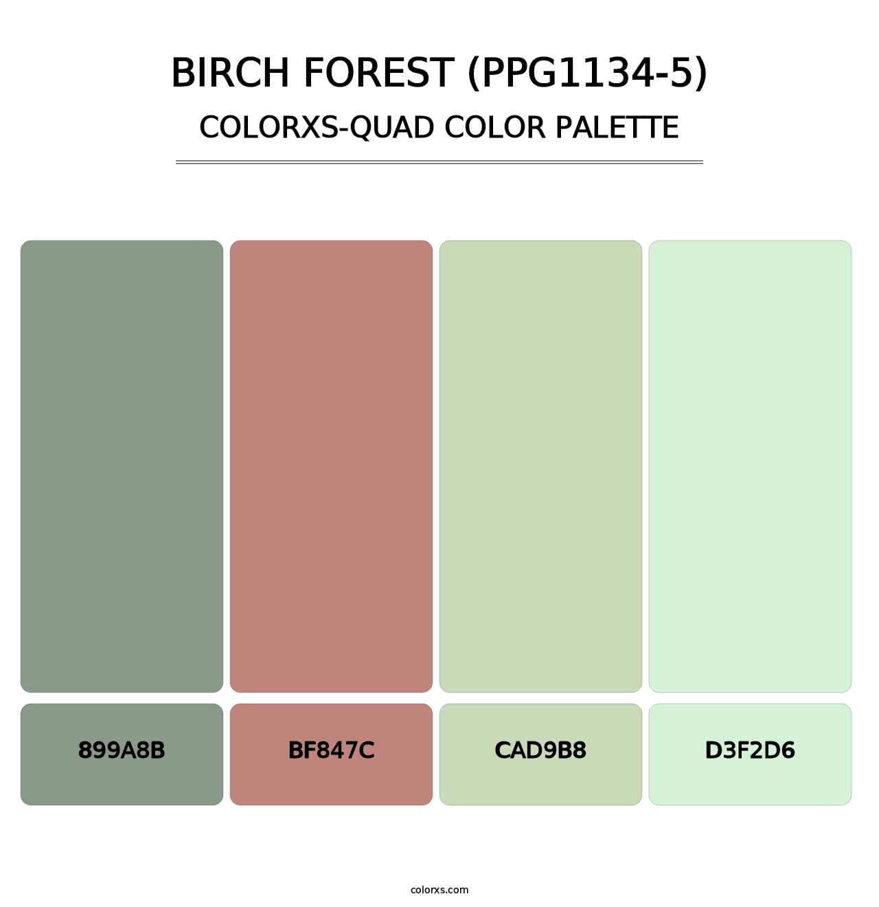 Birch Forest (PPG1134-5) - Colorxs Quad Palette