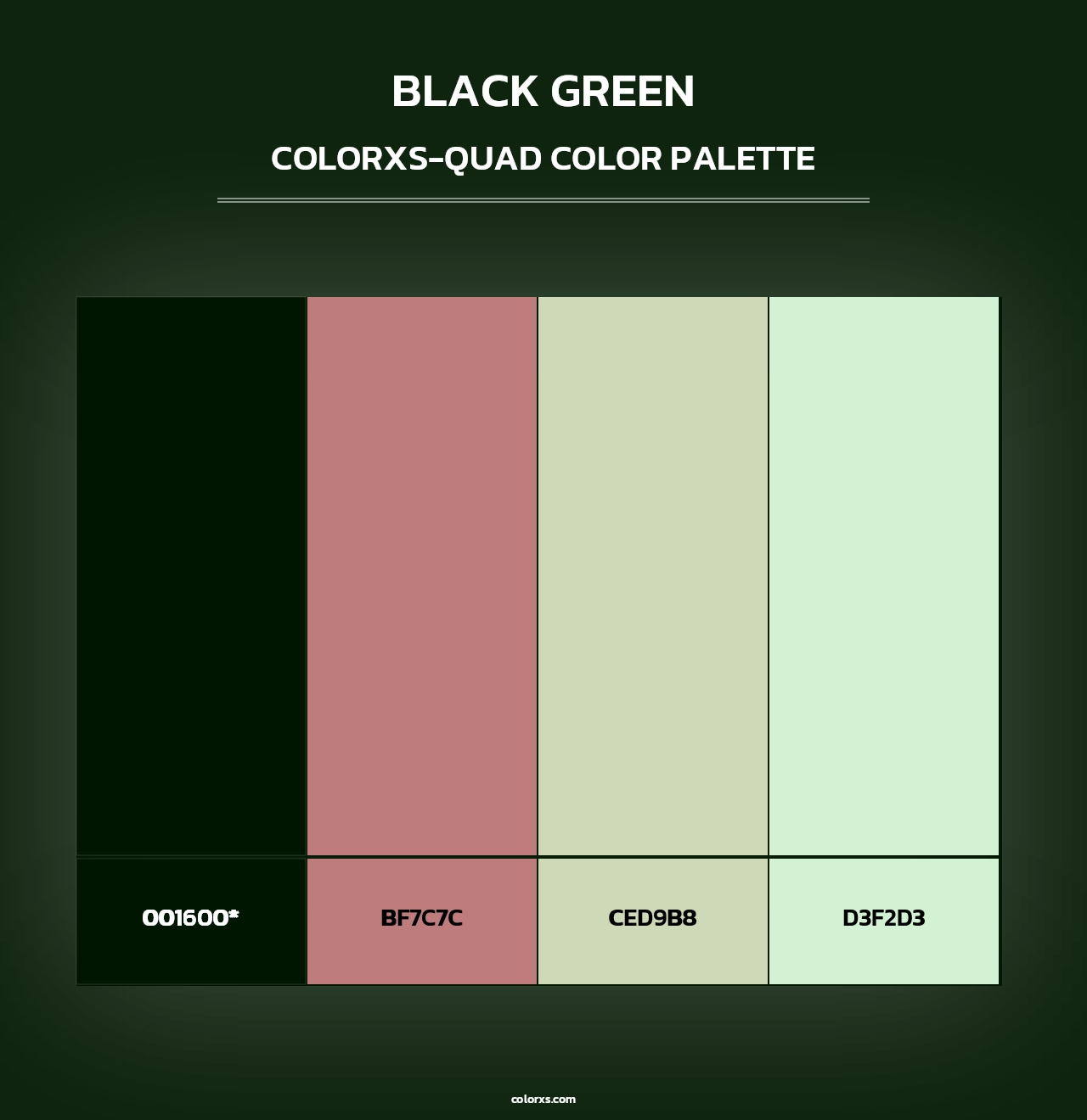 Black Green - Colorxs Quad Palette