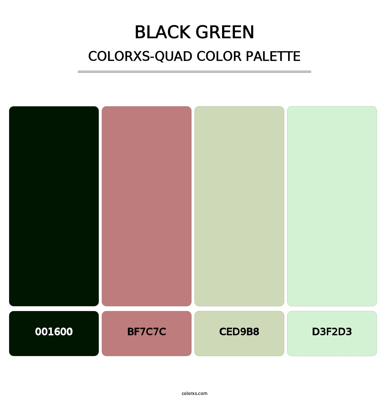 Black Green - Colorxs Quad Palette