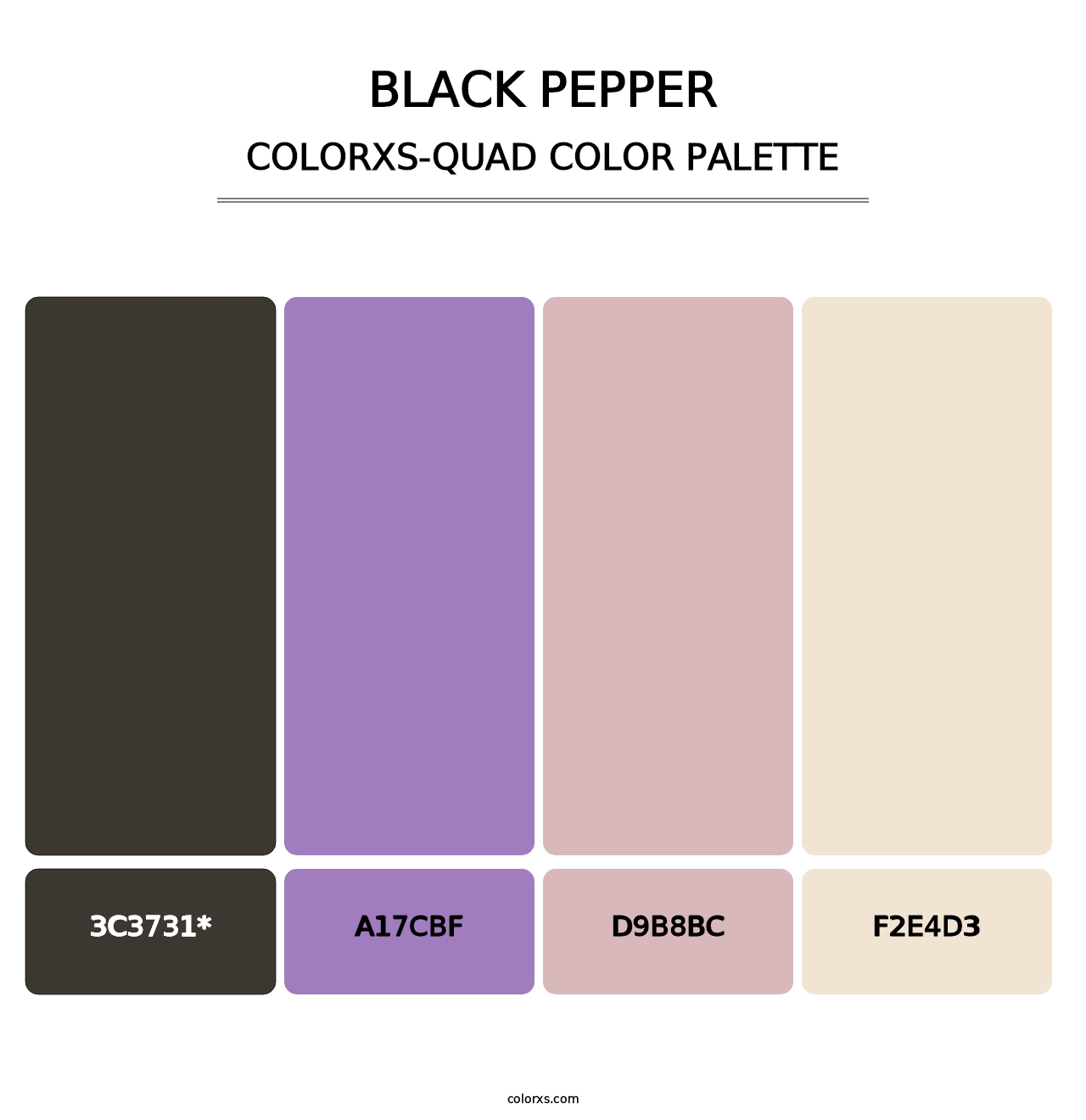 Black Pepper - Colorxs Quad Palette