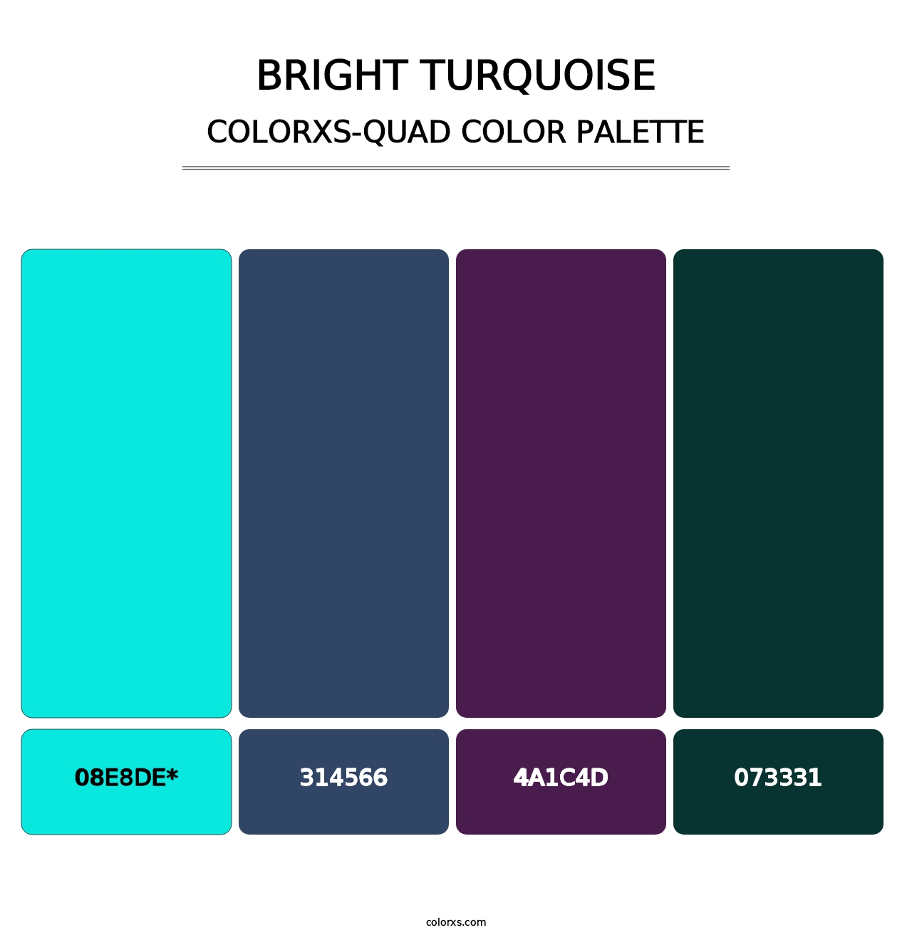 Bright Turquoise - Colorxs Quad Palette