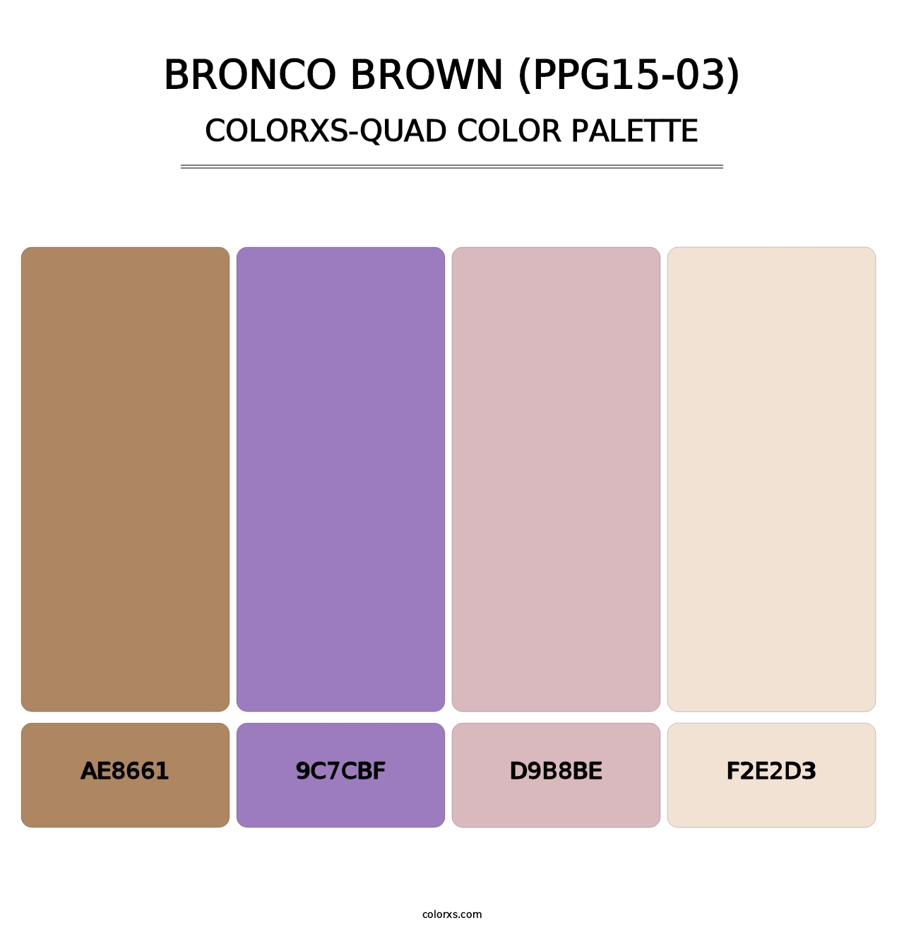 Bronco Brown (PPG15-03) - Colorxs Quad Palette