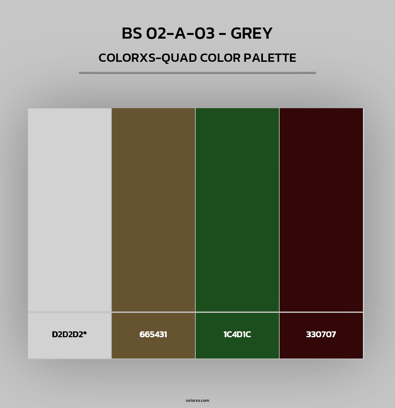 BS 02-A-03 - Grey - Colorxs Quad Palette