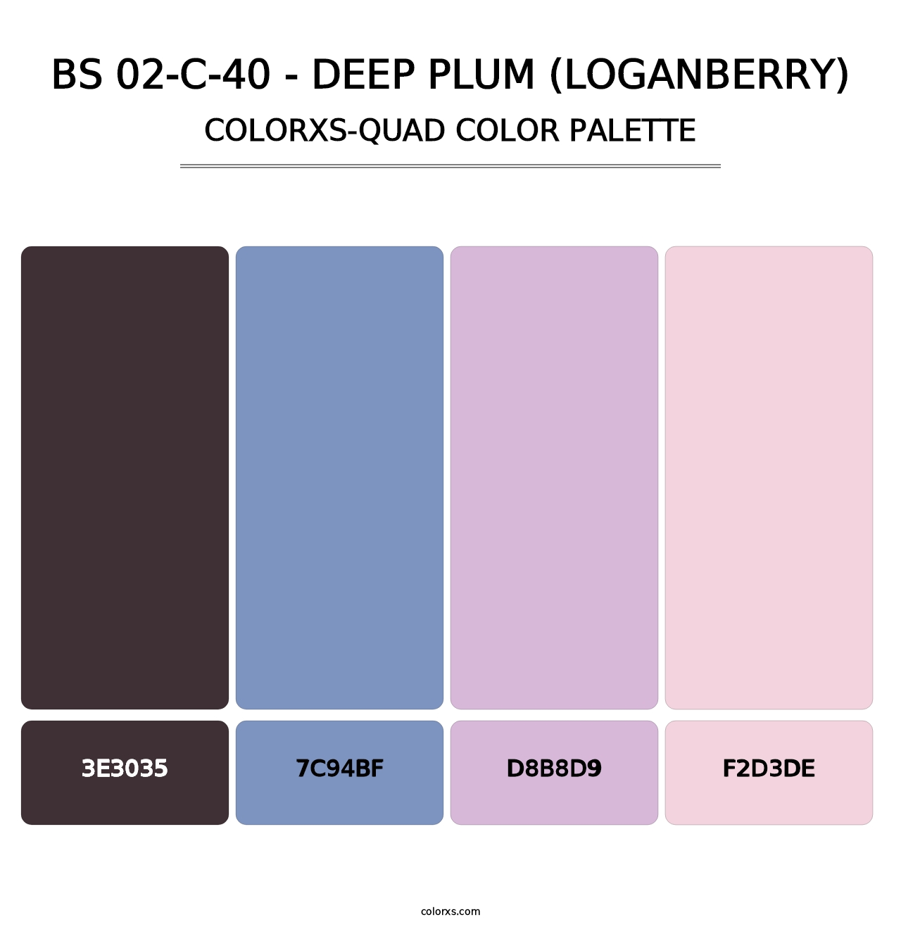 BS 02-C-40 - Deep Plum (Loganberry) - Colorxs Quad Palette