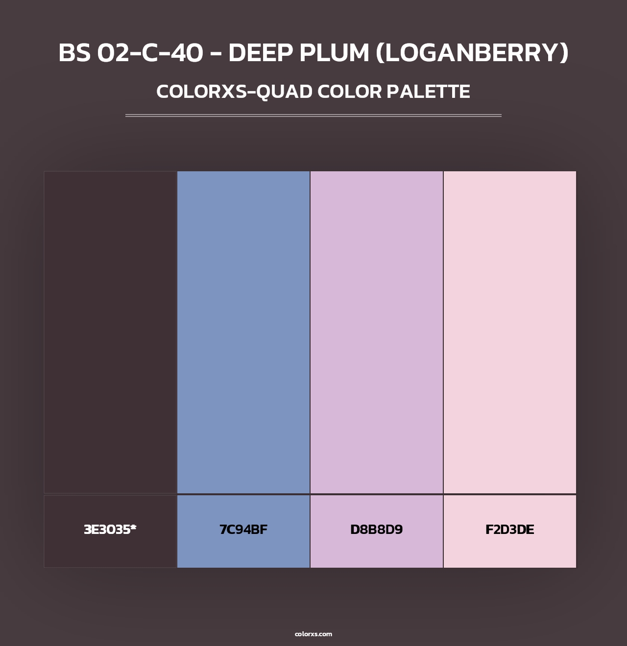 BS 02-C-40 - Deep Plum (Loganberry) - Colorxs Quad Palette
