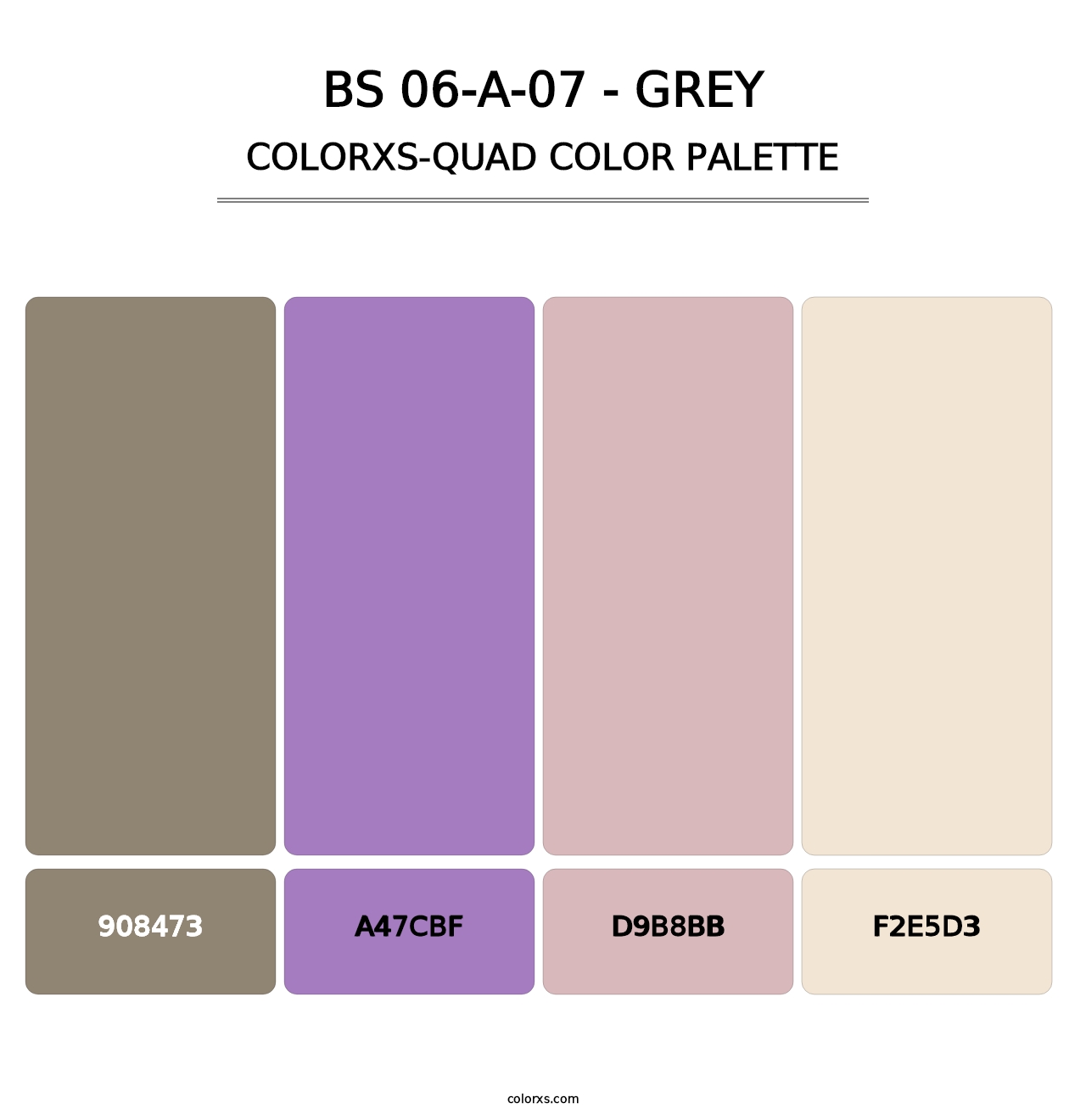 BS 06-A-07 - Grey - Colorxs Quad Palette