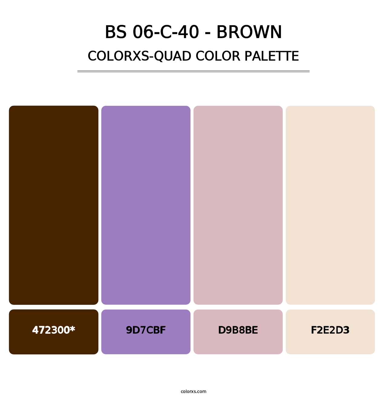 BS 06-C-40 - Brown - Colorxs Quad Palette
