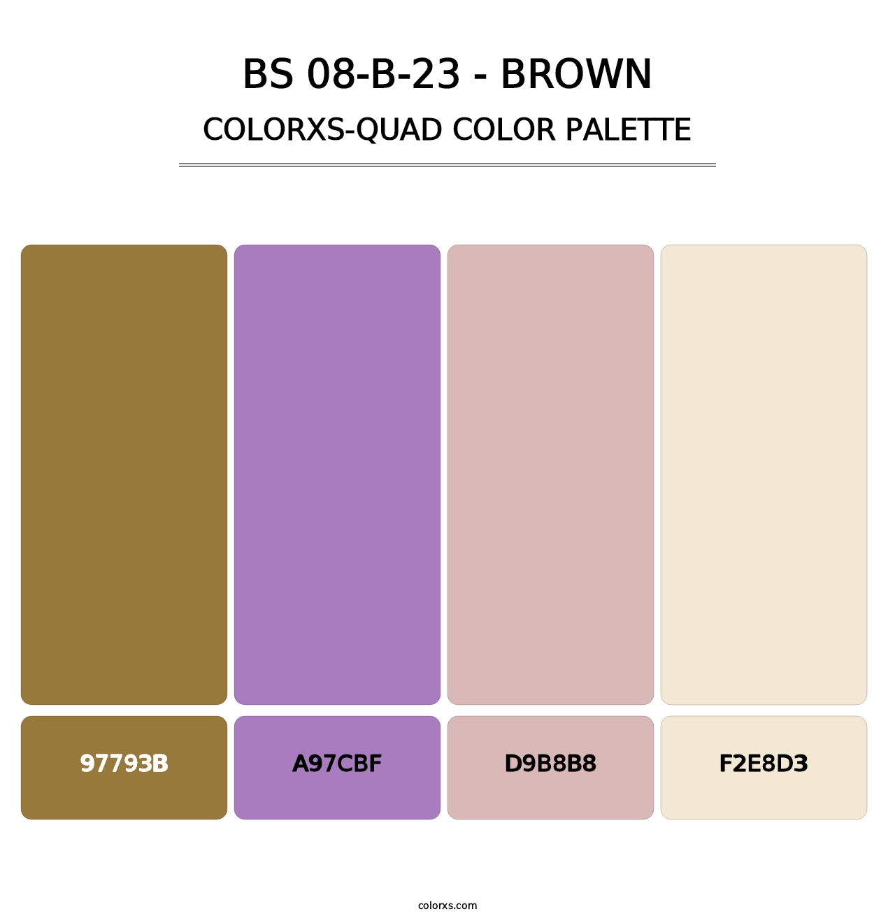 BS 08-B-23 - Brown - Colorxs Quad Palette