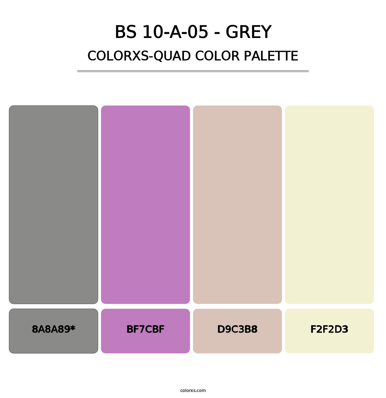 BS 10-A-05 - Grey - Colorxs Quad Palette