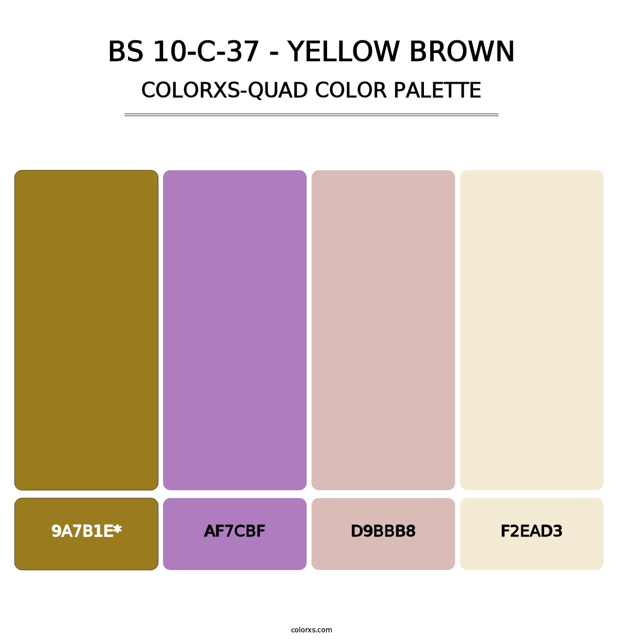 BS 10-C-37 - Yellow Brown - Colorxs Quad Palette