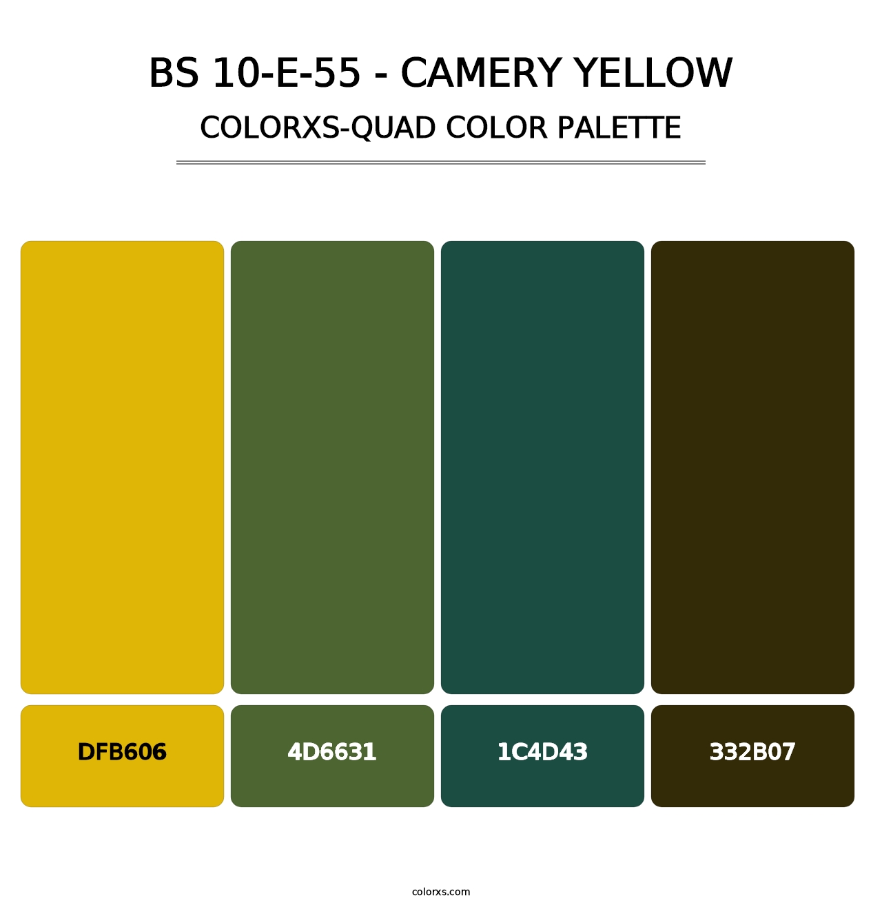 BS 10-E-55 - Camery Yellow - Colorxs Quad Palette