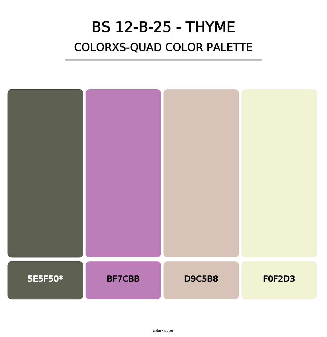 BS 12-B-25 - Thyme - Colorxs Quad Palette