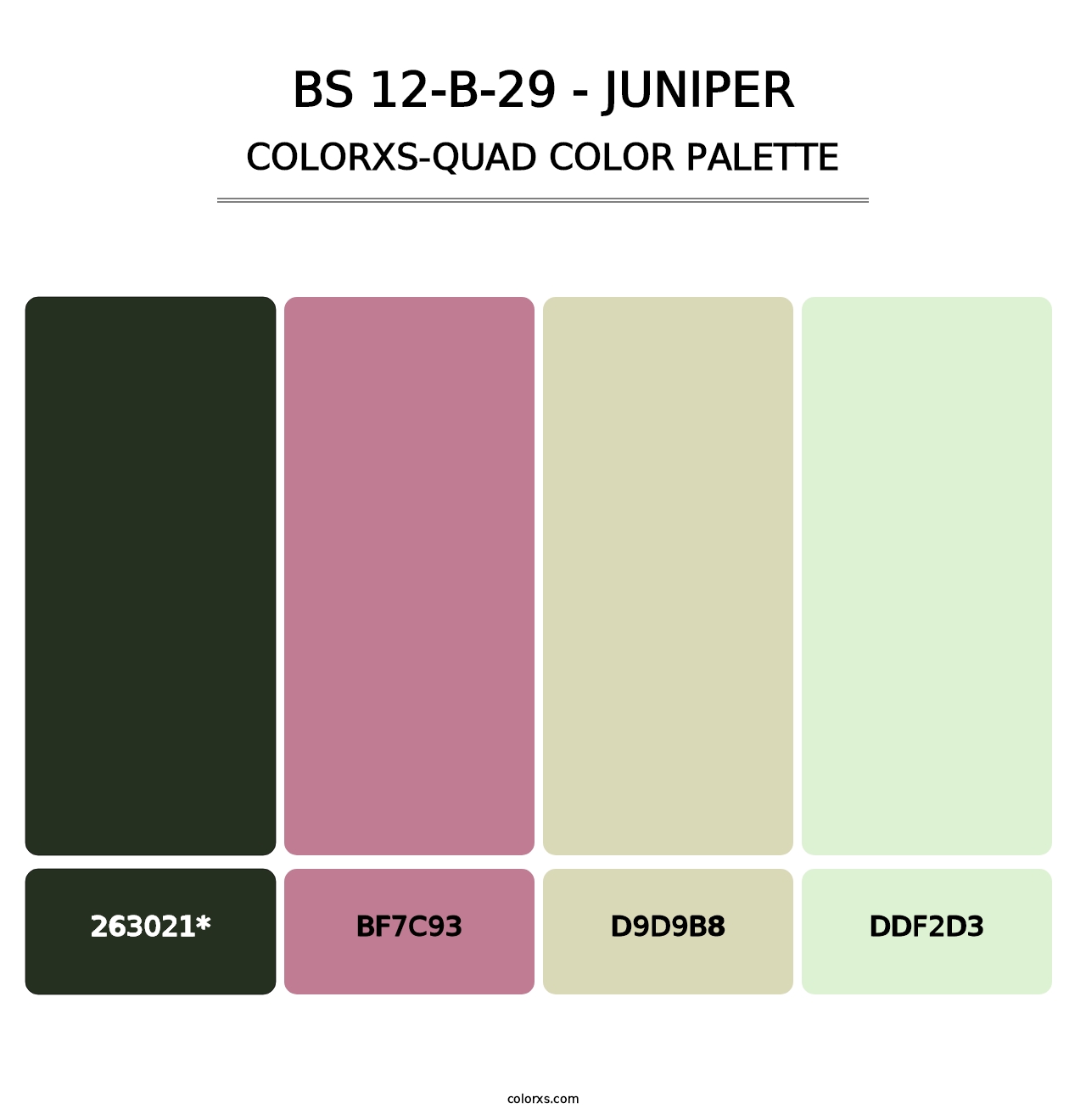 BS 12-B-29 - Juniper - Colorxs Quad Palette