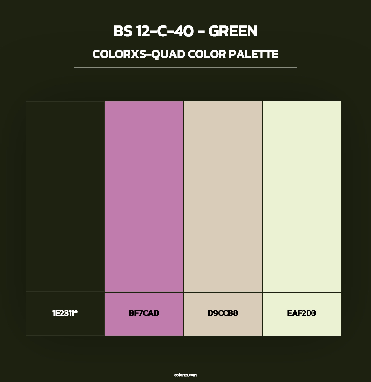 BS 12-C-40 - Green - Colorxs Quad Palette