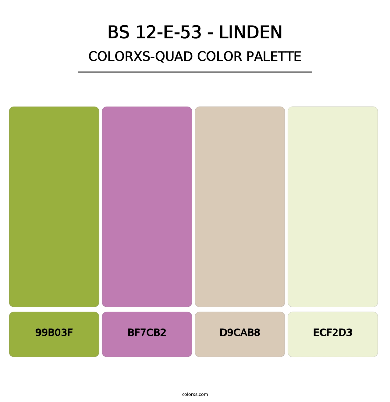BS 12-E-53 - Linden - Colorxs Quad Palette