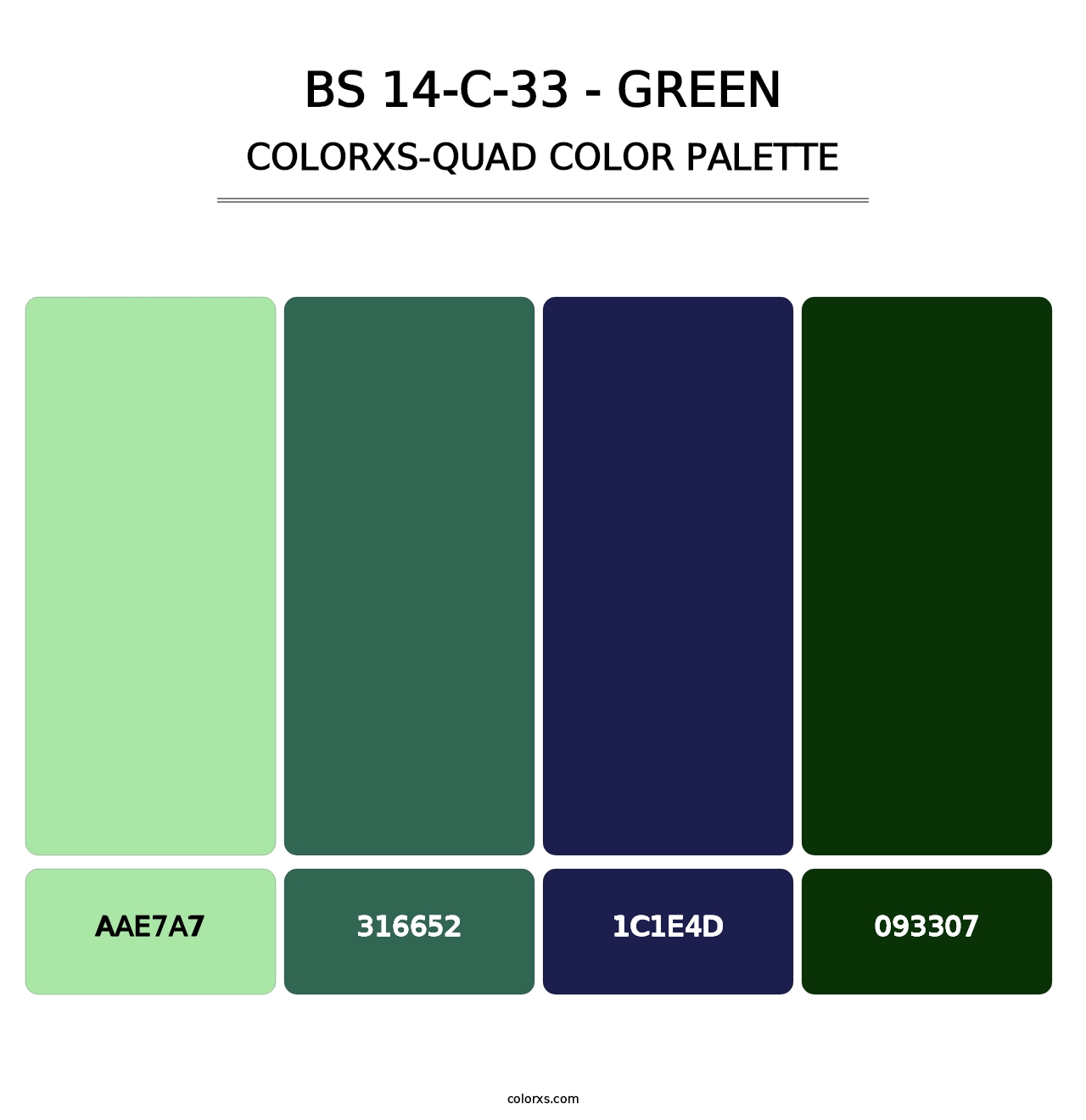 BS 14-C-33 - Green - Colorxs Quad Palette