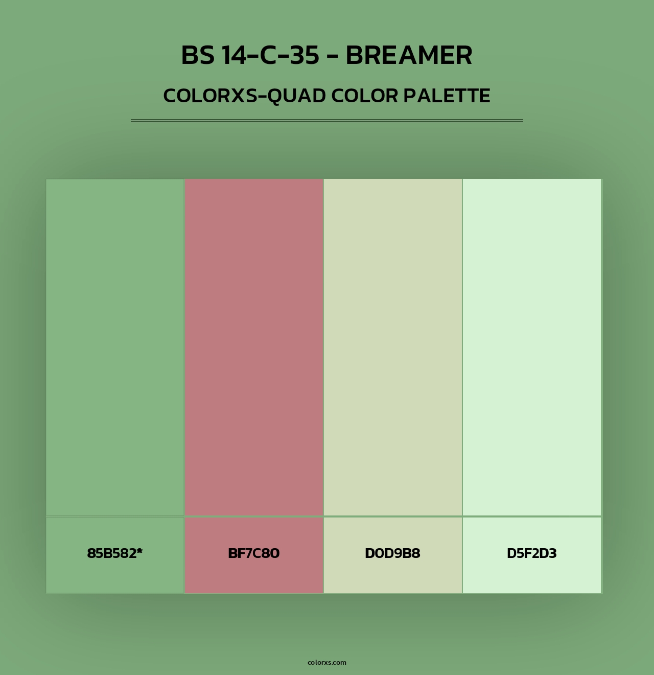 BS 14-C-35 - Breamer - Colorxs Quad Palette