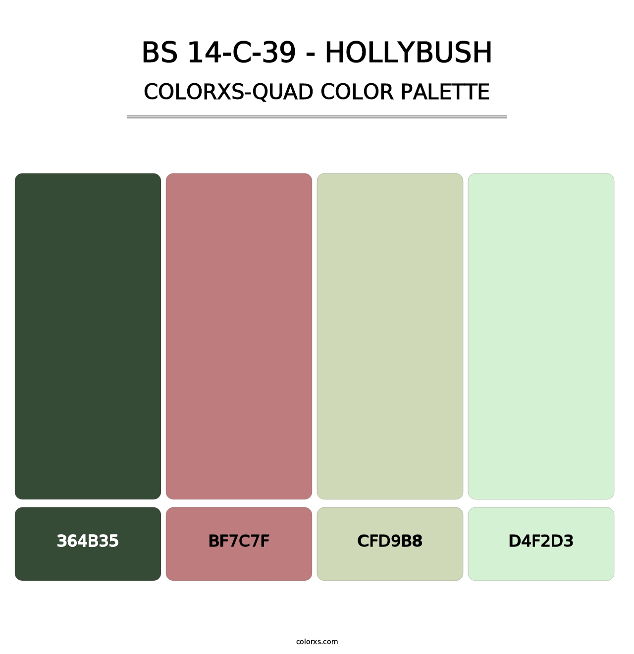 BS 14-C-39 - Hollybush - Colorxs Quad Palette