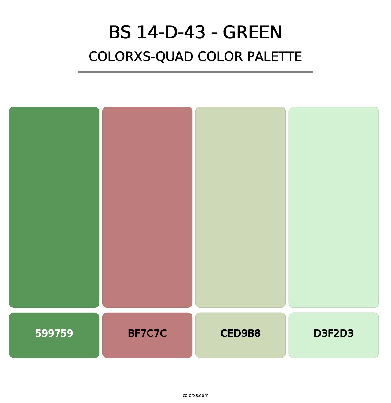 BS 14-D-43 - Green - Colorxs Quad Palette
