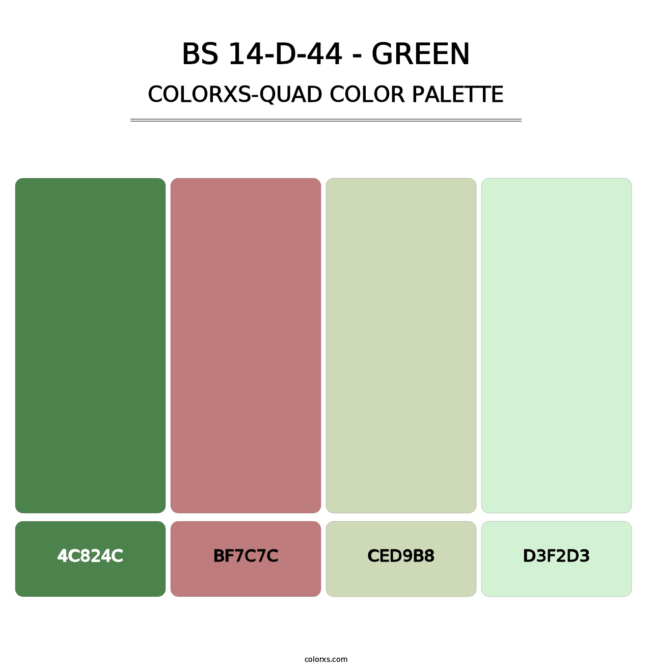 BS 14-D-44 - Green - Colorxs Quad Palette