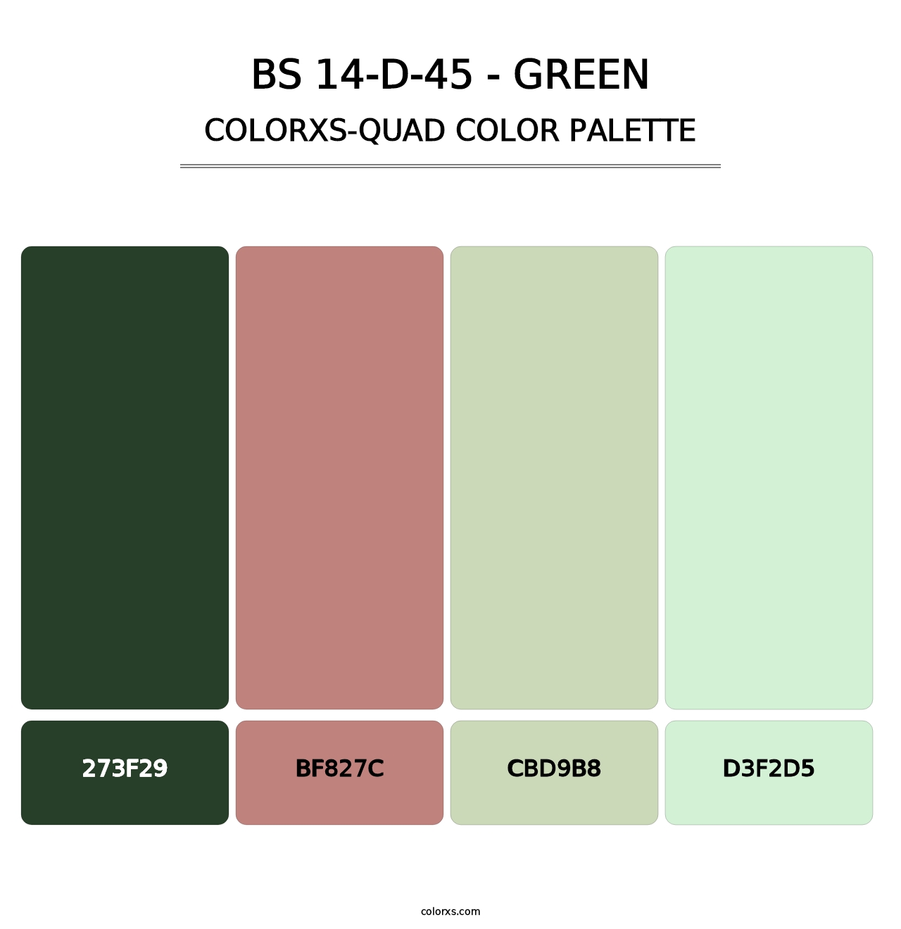 BS 14-D-45 - Green - Colorxs Quad Palette