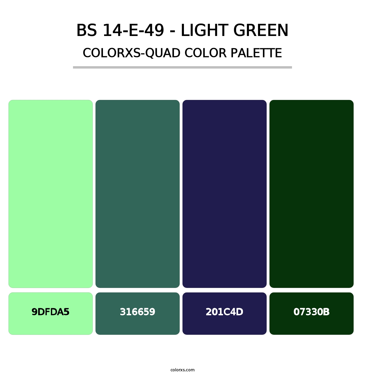 BS 14-E-49 - Light Green - Colorxs Quad Palette